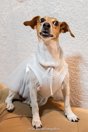 0027 - Simone e Gabriel - Casamento - DF3_8824