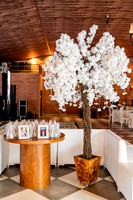 0005 - Maxsiliane e Gilberto - Casamento - DF7_8581