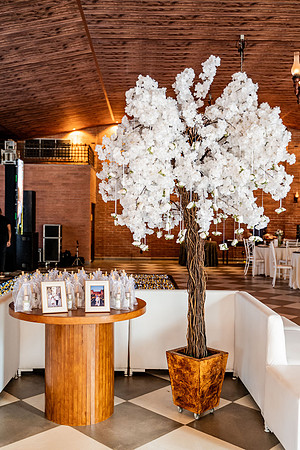 0005 - Maxsiliane e Gilberto - Casamento - DF7_8581