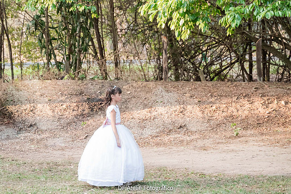 0029 - Claudilene e Guilherme - Casamento - DF3_6600