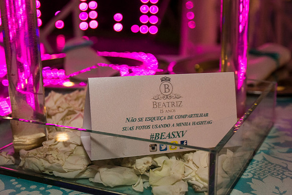0160 - Beatriz 15 anos - DF2_0265