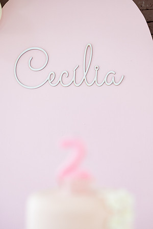 0007 - Cecília Lima - 2 anos - DF4_9454