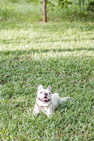 0044 - Thalita e Brunno - Pre Wedding - DF4_6449