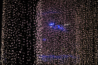 DF1_8086