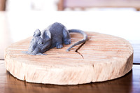 0002 - Pietro- 2 Anos - DF2_5370