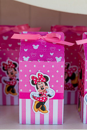 0034 - Isabela Leal - 3 Anos - DF3_2763