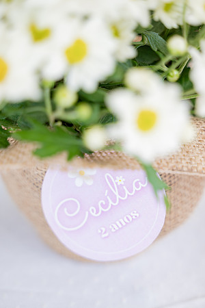 0020 - Cecília Lima - 2 anos - DF4_9468