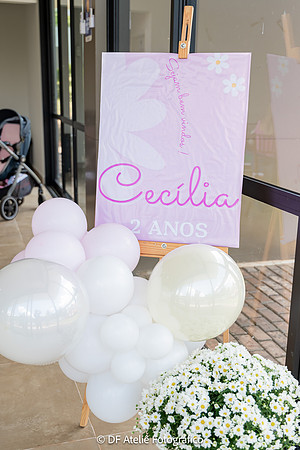 0025 - Cecília Lima - 2 anos - DF4_9486