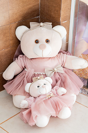 0132 - Maria Eduarda 4 anos e Manuela 1 ano - DF4_1663
