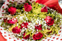 0004 - Giovana e Edson - Casamento - DF4_1250