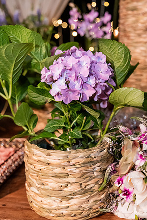 0344 - Giovana e Edson - Casamento - DF4_2410