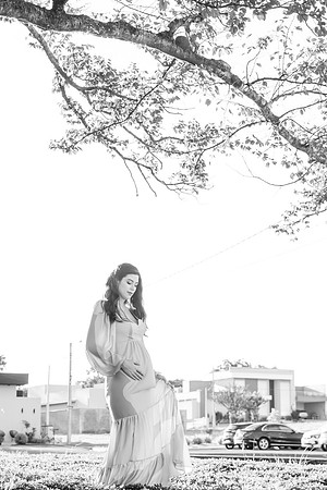 0156 - Lígia e Felipe - Chá Revelação - DF2_6544