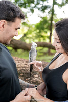 0014 - Caroline e Lucas - Pre Wedding - DF4_9554
