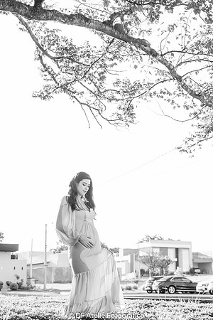 0156 - Lígia e Felipe - Chá Revelação - DF2_6544