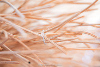 0002 - Beatriz e Wilson - Casamento - DF4_6347
