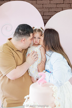 0110 - Cecília Lima - 2 anos - DF4_9833